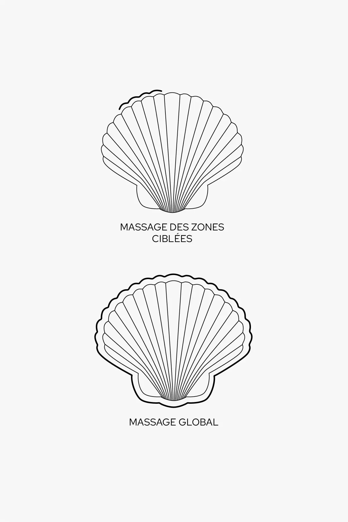 Sandy The Shell