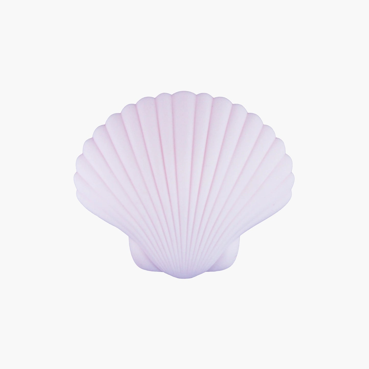 Sandy The Shell