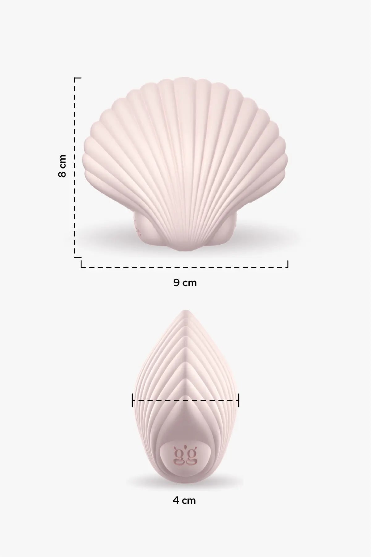 Sandy The Shell