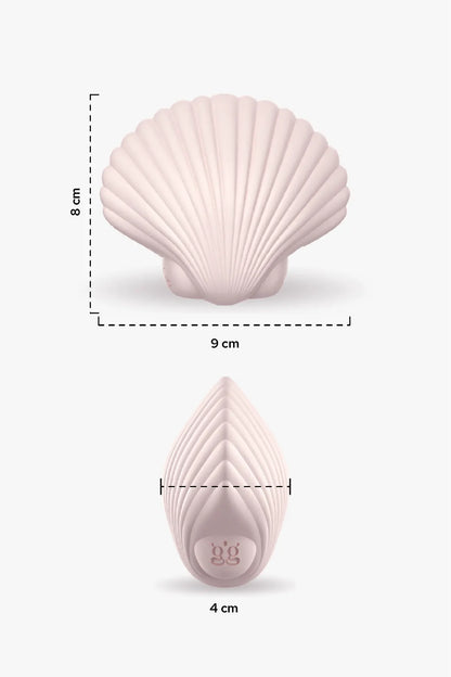 Sandy The Shell